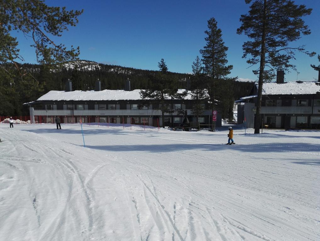 Vuosselin Helmi Apartments ルカ エクステリア 写真